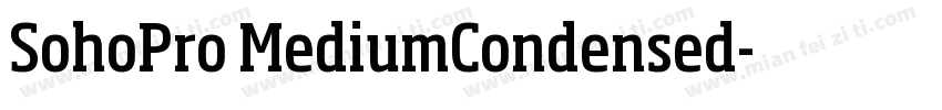 SohoPro MediumCondensed字体转换